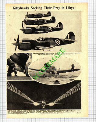 Curtiss Hawk P.40E  Kittyhawk Aeroplanes RAF Sharknose Libya WW2 - 1942 Cutting
