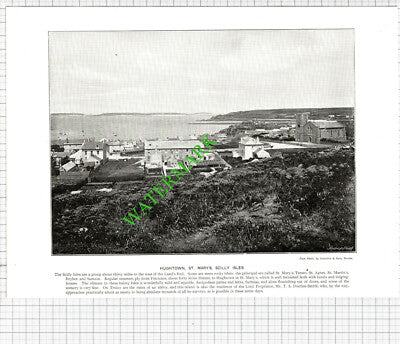 Hughtown St Mary's Scilly Isles / River Fal Tolvern - c.1900 Book Print