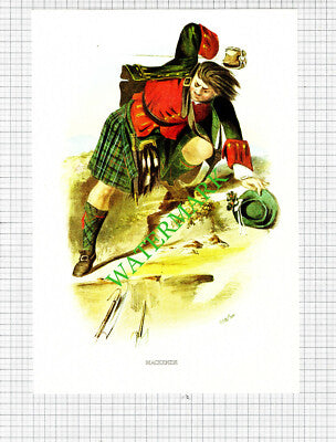 MACKENZIE Scottish Clans  - c.1980 Book Print