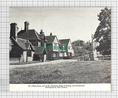 C3927) The Village Green Terling Essex - 1966 Clip