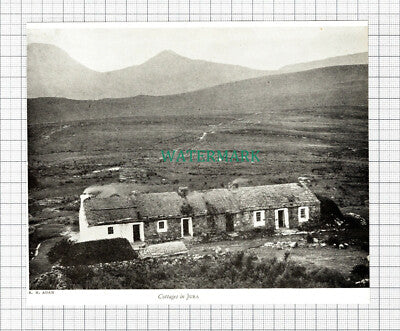 C5635) Cottages In Jura - 1940s Cutting