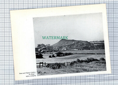 C4661) Dean & Chapter Colliery / Oliver Henderson Park Felling - c.1960s Clip