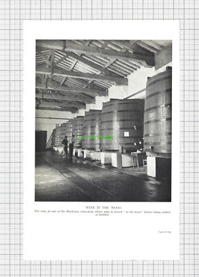 C2036) Bordeaux Vineyards  - c.1960s Double-Sided Book Print
