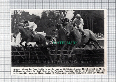 C5348) Stan Mellor Horse Jumping Hiyall J Goldsworthy Uttley Mould - 1970 Clip