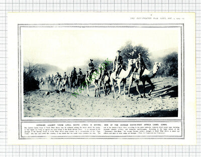 9621) German South West Africa Camel Corps World War One - 1915 Book Print