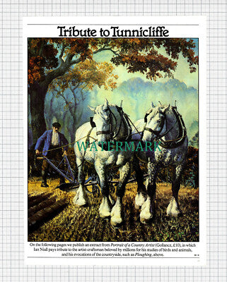 X1024) Tribute To Charles Tunnicliffe Country Artist - 1980 Article