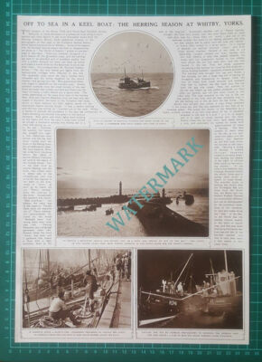 (X451) Whitby Yorkshire Herring Fishing Season - 1949 Clip