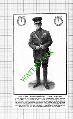 Field Marshal Lord Roberts Earl Roberts of Kandahar - 1914 Cutting