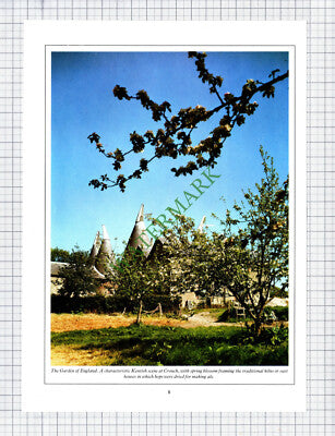 7767) Crouch Oasthouse Kent  - 1980s Cutting / Print