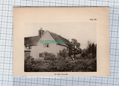 C4552) Ash Village Surrey - 1908 Clip