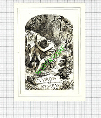 Timon Of Athens William Shakespeare  -  c.1880 Print / Cutting