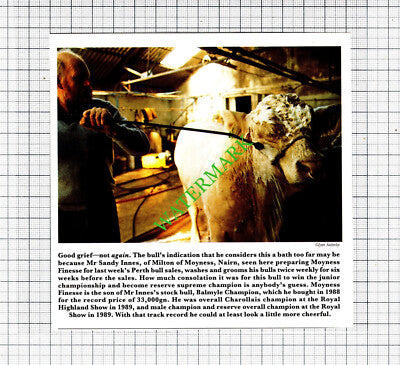 Mr Sandy Innes Milton of Moyness Nairn Bull Moyness Finesse - 1991 Cutting