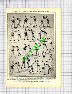 Boxing Moves Boxers - c.1930s Cutting / Print