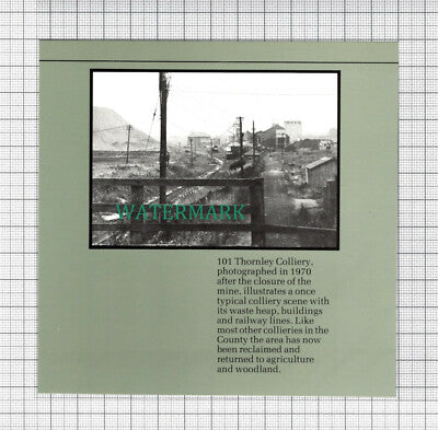 C3526) Thornley Colliery - Paper Cutting SMALL!