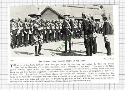 Durham Light Infantry Militia Cape Town - c.1900 Cutting / Print