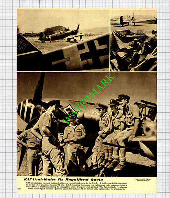 RAF Servicing Commandos The Fighting Cocks Fighter Squadron WW2 -  1943 Cutting