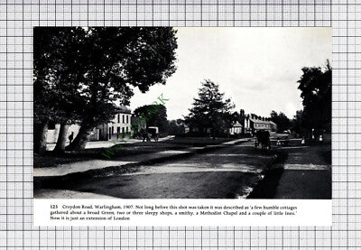C6239) Esher Fair Surrey / Croydon Road Warlingham  - Cutting