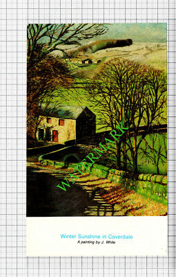 Coverdale Yorkshire - 1984 Cutting