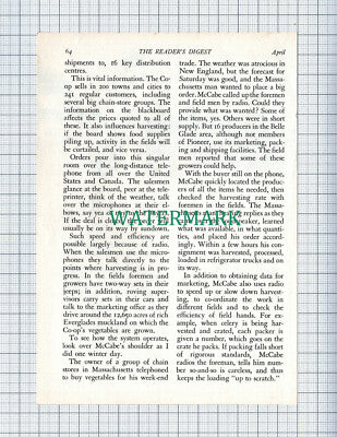 C4158)  Pioneer Growers Co-operative Belle Glade Florida McCabe  - 1960 Article