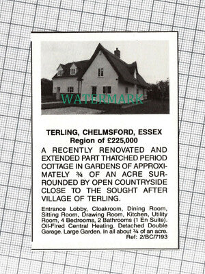 C1564) Terling Chelmsford Essex Cottage Sale Advert - 1987 Clip