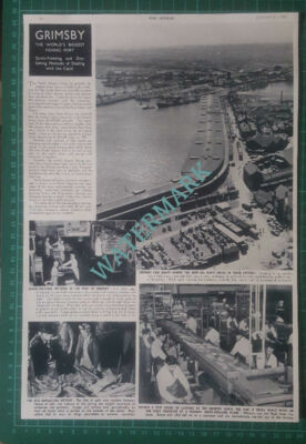 (X398) Grimsby Fishing Port Fish Quays - 1950 Clip