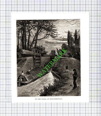 Canal Berkhampstead  - c.1895 Cutting