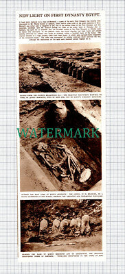 (X30) Mr Walter Emery Tomb Discovery Sakkara Egypt Queen Merneith - 1947
