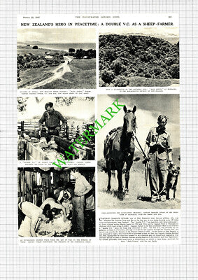 Captain Charles Upham Rafa Downs Christchurch New Zealand - 1947 Cutting / Print