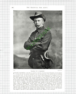 Colonel W H Mackinnon City Of London Imperial Volunteers  c.1900 Print / Cutting