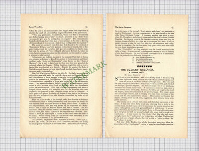 8914) REIGATE Surrey Percy Lane Oliver  - 1902 Article
