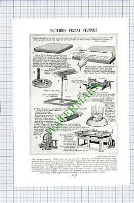 Lithography  - c.1930s Cutting / Print