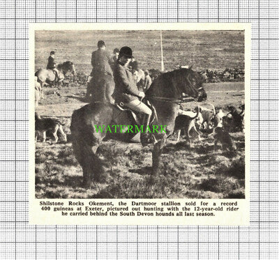 C96) Shilstone Rocks Okement Horse South Devon Hunt - Vintage Cutting (Undated)