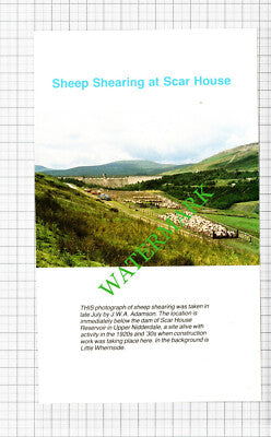 Scar House Reservoir Yorkshire Sheep Shearing - 1988 Cutting