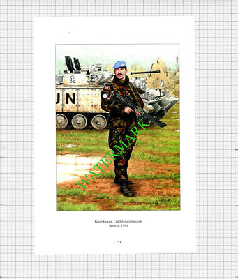 Guardsman Coldstream Guards Bosnia -  c.1990's Print