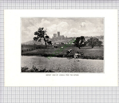 8900) LINCOLN - c.1900 Print / Cutting