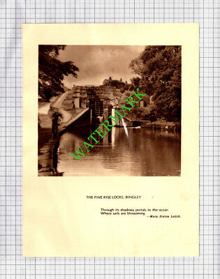 The Five Rise Locks Bingley / West Tanfield  - c.1930s Book Print