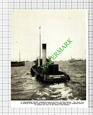 Sir Acton Blake Gravesend Pilot Station  - 1930s Cutting