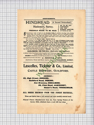 C4877) Hindhead Haslemere Surrey  / W D Crowhurst Peckham - 1901 Cutting