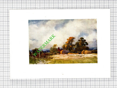 Cold Waltham Sussex - c.1913 Small Print