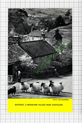 Beckhole Goathland  - 1974 Cutting / Print