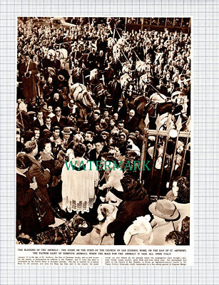 (X118) Church of San Eusebio Rome Animal Blessing - 1949 Clip