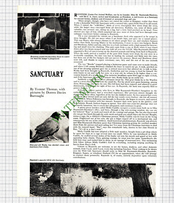 9274) Raystede Centre For Animal Welfare Raymonde-Hawkins Ringmer - 1968 Article