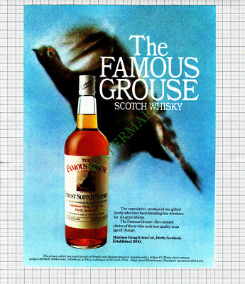 The Famous Grouse Whisky Advert - 1977 Cutting
