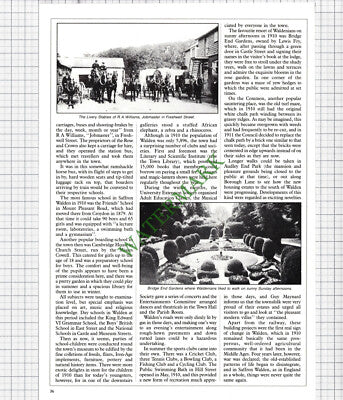 9597) Saffron Walden Essex Cro's Market Stores  - c.1988 Article