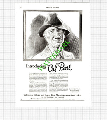 Cal Pine California Sugar Pine / Arlington Hotel Hot Springs Park - 1926 Cutting