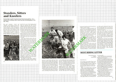Dorothy Beer Pea-Picking - 1991 Article