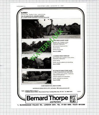 Leylands Estate Abinger Hammer Sale Advert  - 1980 Cutting
