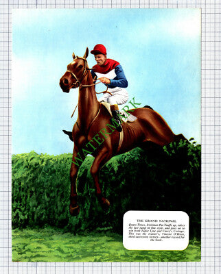 Pat Taaffe Vincent O'Brien Quare Grand National Horse 1950's Print / Cutting