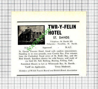Dyfed Cafe St Davids Mrs F I Davies / Twr-Y-Felin Small Advert - c.1960 Cutting