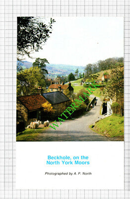 Beckhole North York Moors / Todmorden Tom Chapman John Haworth- 1982 Cutting